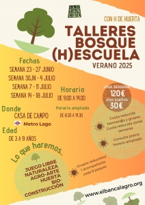 banner verano